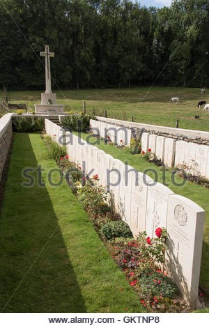 Headstone Picture Frame Pleasanton CA 94588